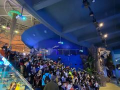 -烟台海昌鲸鲨海洋公园