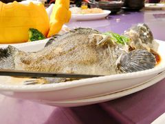 清蒸石斑仔-新溢香国际酒店-中餐厅