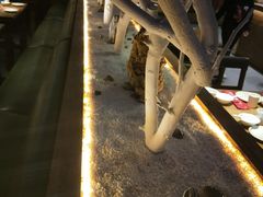-辣猫龙虾(马泉营店)