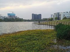 -美兰湖景区