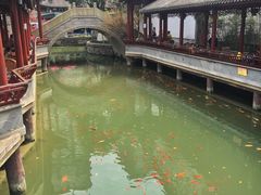 -龙潭水乡