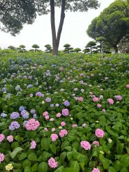 -长沙小顽国景区