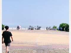 -广东惠东海龟国家级自然保护区