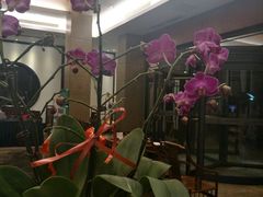 -苏州独墅湖书香世家酒店