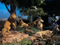 -国家自然博物馆