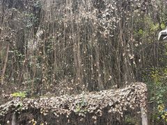 -老君山