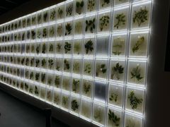 -广东中医药博物馆