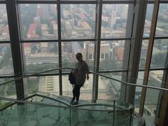 -视界美食自助餐厅·石家庄希尔顿酒店