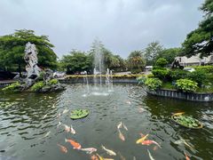 -韩上楼