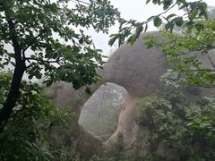 -六里坪国家森林公园