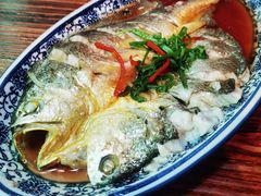 清蒸黄花鱼-醉壹号海鲜大排档(厦门店)