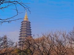-红梅公园