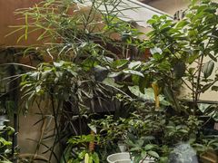 -About Bistro關於·泰式家庭料理