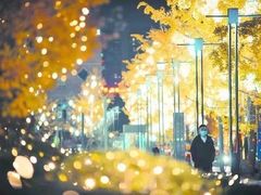 -望江楼公园
