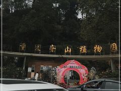 -南山植物园
