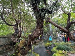 -Chom Cafe and Restaurant