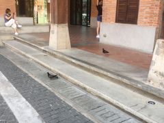 -宁曼路