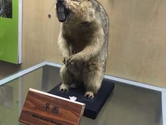 -陕西自然博物馆