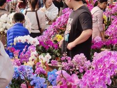 -天河体育中心