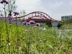 -美兰湖景区