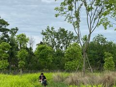 -桤木河湿地公园