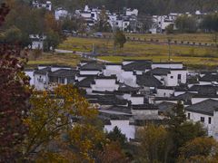 -塔川景区