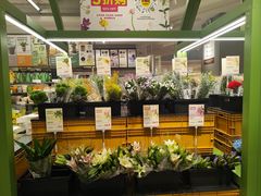 -鹿岛生活(熙地港店)