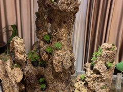 -苏淮景·苏闽融创菜·海鲜(原空港井河轩店)
