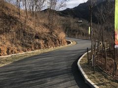 -欢乐松鼠谷