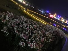 -花博汇(知音花月夜)