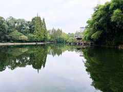 -棠湖公园