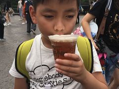 -哈利波特魔法世界