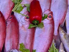 -桂园白粥·潮汕老味道