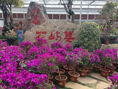 -沂蒙云瀑洞天景区