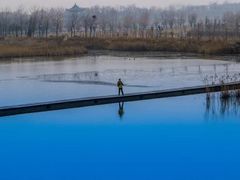 -盐城丹顶鹤湿地生态旅游区