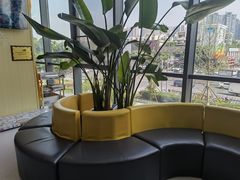 -谐和贝康宠物医院24小时·宠保定点(急重症转诊中心)