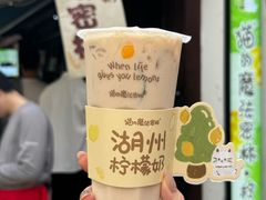 -猫的魔法密林(衣裳街店)