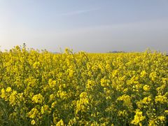 -苏州吴中太湖旅游区