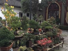 -凤凰寺
