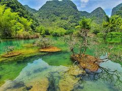 -靖西鹅泉风景区