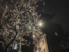 -武汉大学-樱园