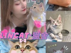 -lincat·猫舍(广州店)
