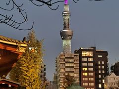 -浅草寺