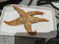 -大锅强·蒸海鲜青岛菜(吾悦广场店)