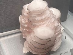 -湖南省地质博物馆