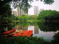 -晓港公园