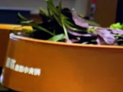 -龍歌自助小火锅(市南金茂湾店)