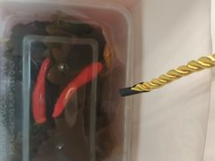 -老板恋上鱼(印象城店)