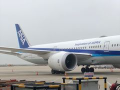 -上海浦东国际机场-T2航站楼