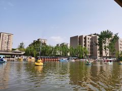 -团结湖公园